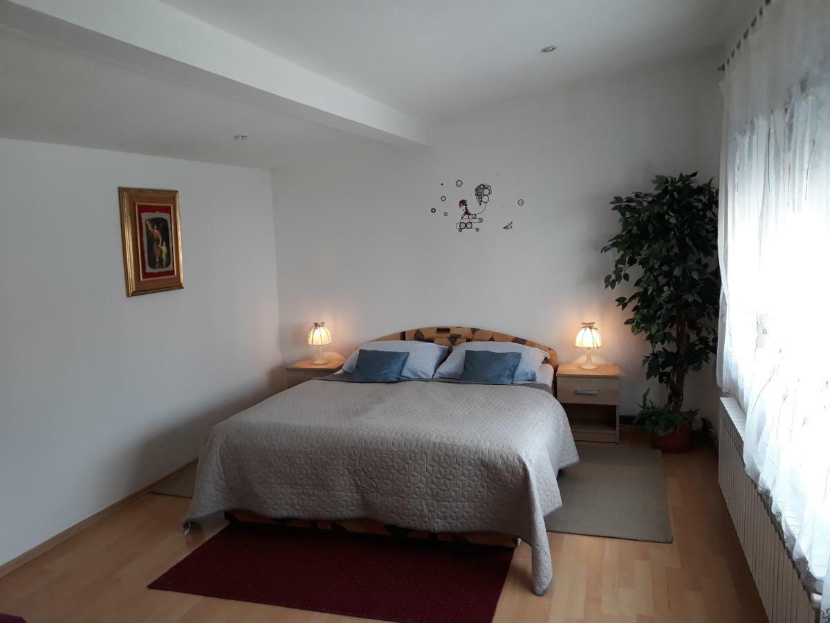 Apartmani Kristanic كارلوفاتش المظهر الخارجي الصورة